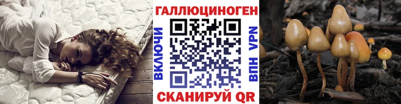 Галлюциногенные грибы ЛСД  hydra ссылка  Тара 